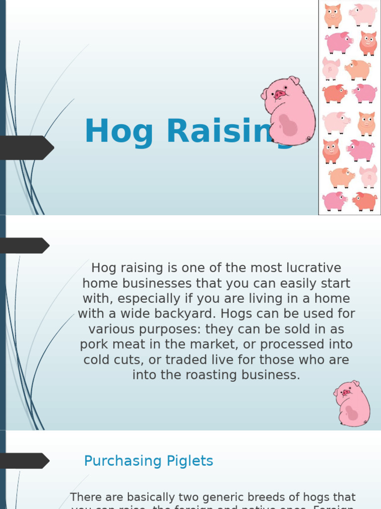 Grp.4 - Hog Raising | PDF