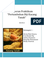 Pertumbuhan Kacang Tanah