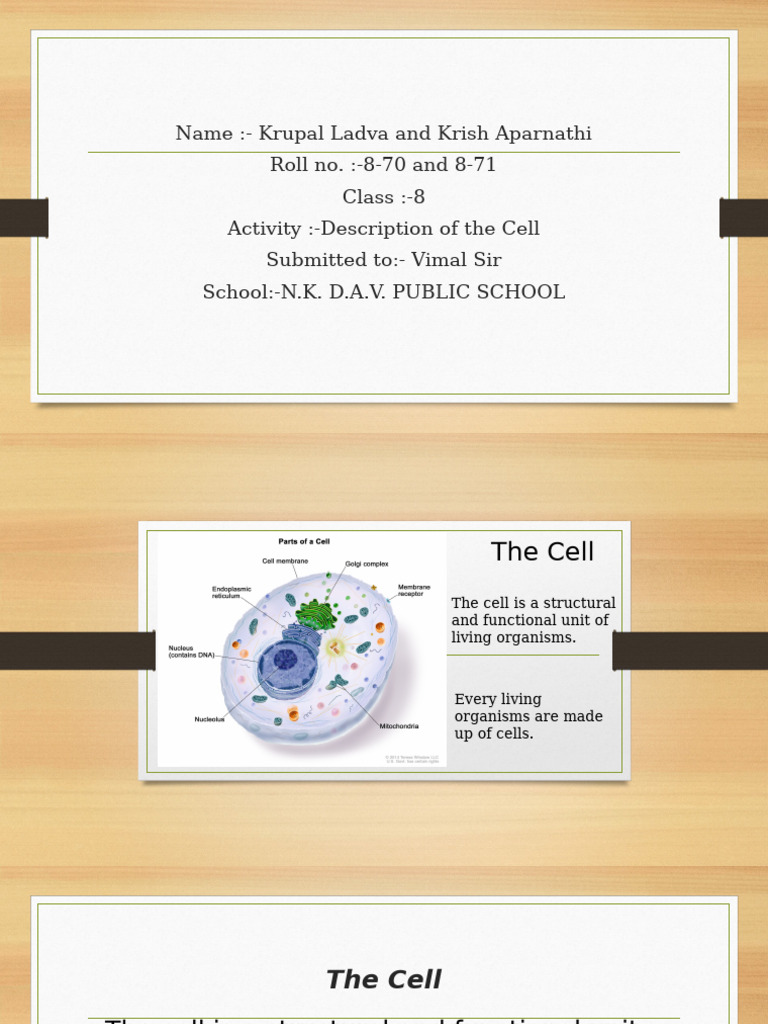 Krupal and Krish Presentation of Science | PDF