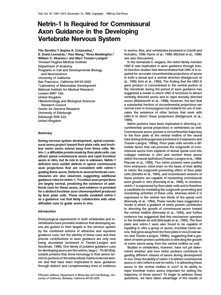 Netrin-1 Is Required For Commissural Axon Guidance in The Developing ...
