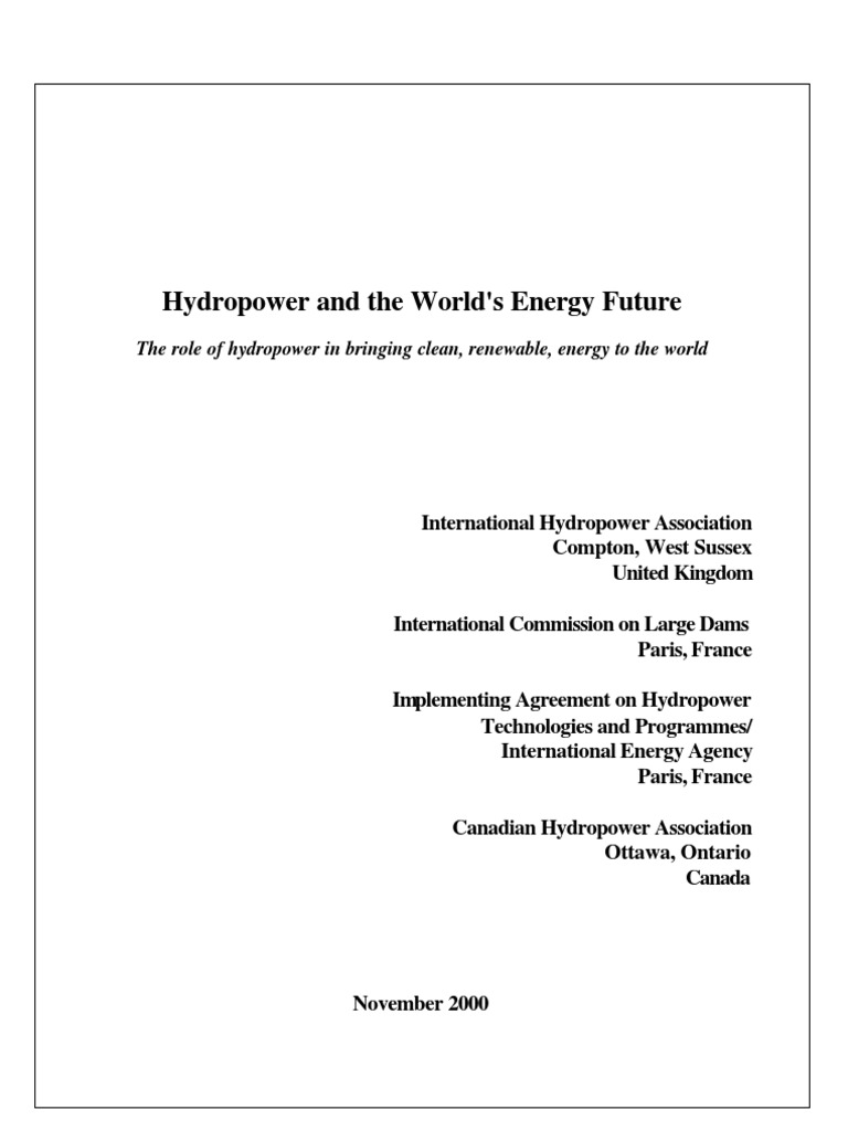 Hydropower and The World's Energy Future | PDF