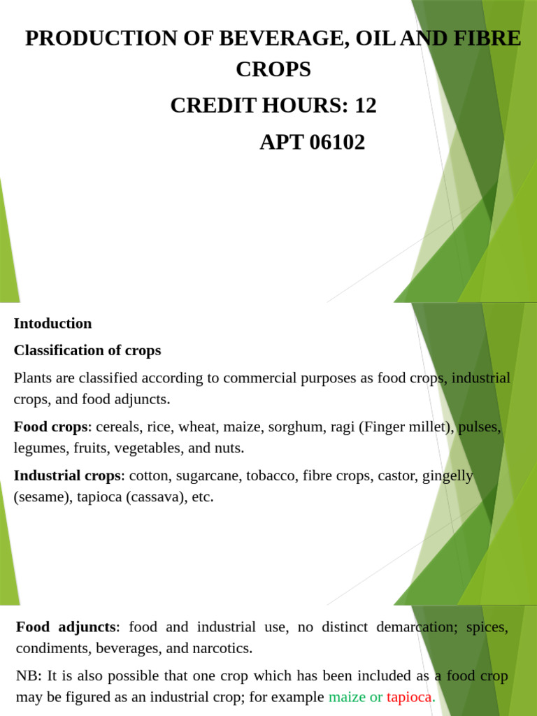 Production of Tea | PDF