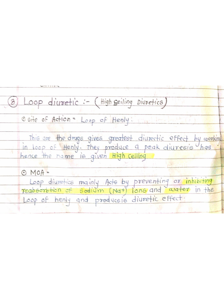 Loop Diuretics | PDF