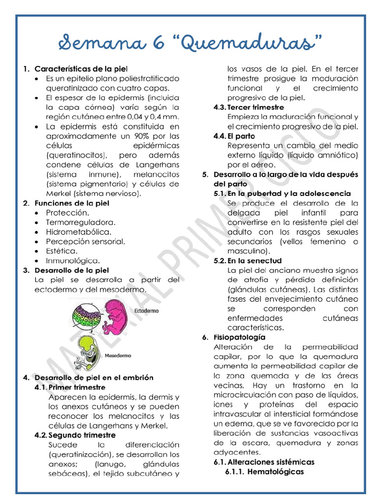 Semana 6 | PDF