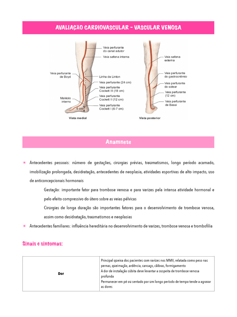 Avaliação Cardiovascular - Vascular Venosa | PDF