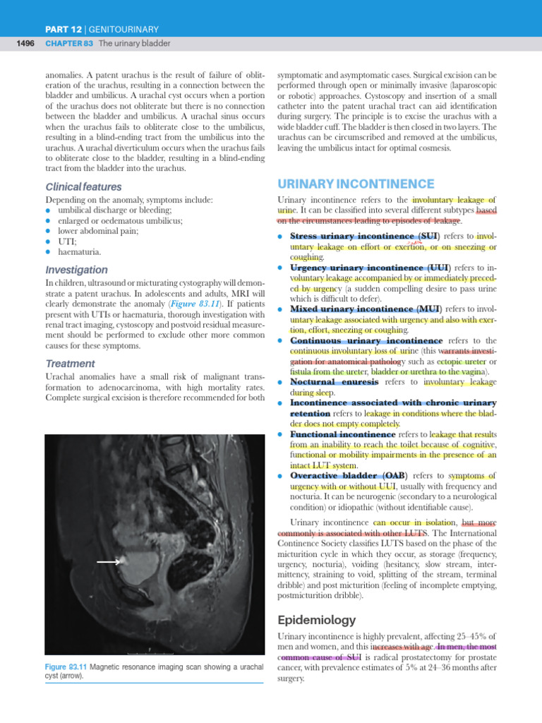 6 - Urinary Incontinence | PDF