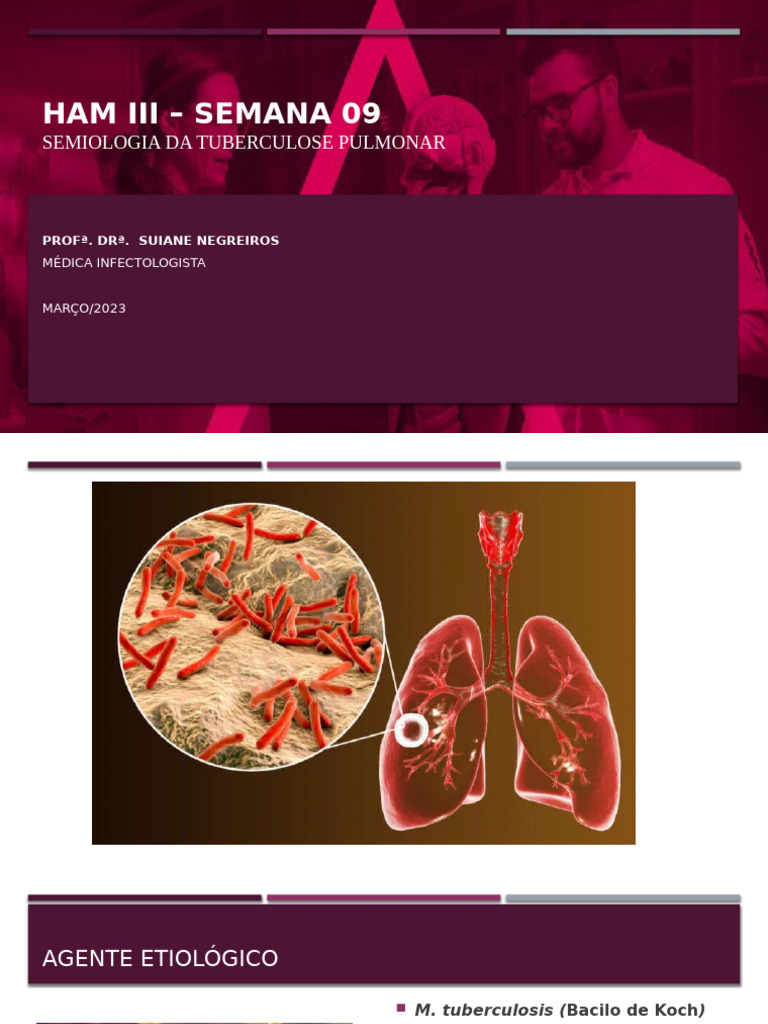 Ham Iii - Aula T 09 | PDF