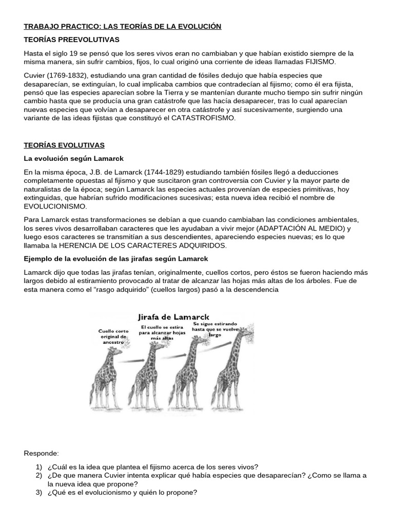 Teorías de la Evolución: Fijismo y Evolucionismo | PDF | Evolución ...