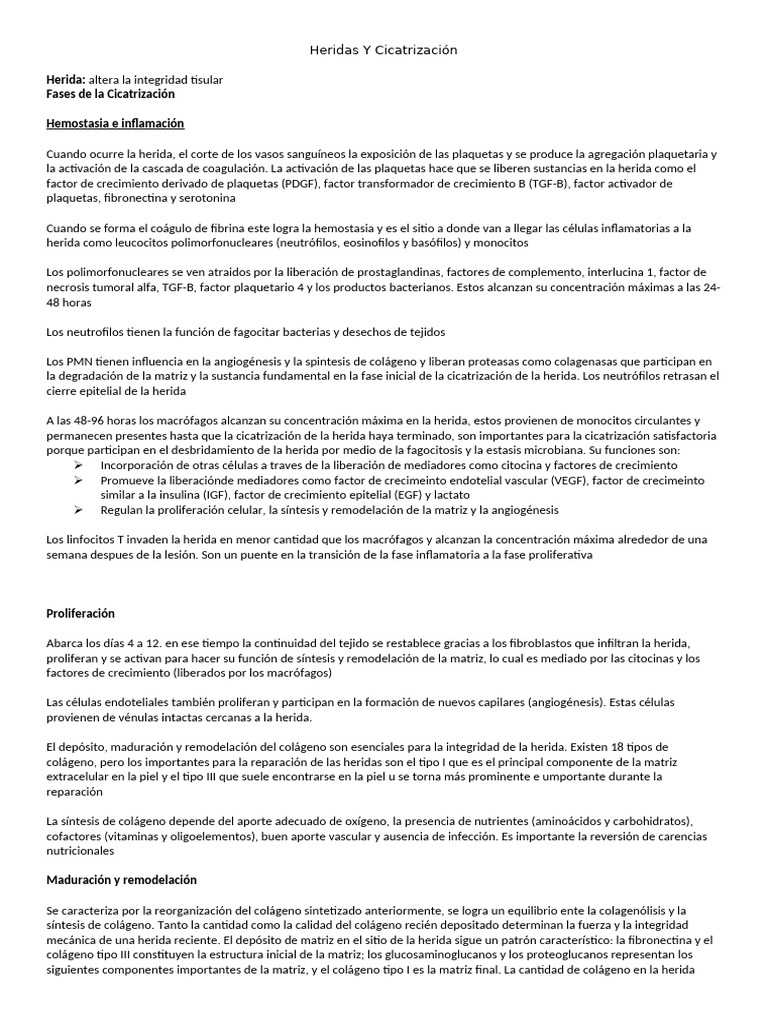Heridas Y Cicatrización Pdf