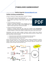 4-metabolisme_karbohidrat (1)