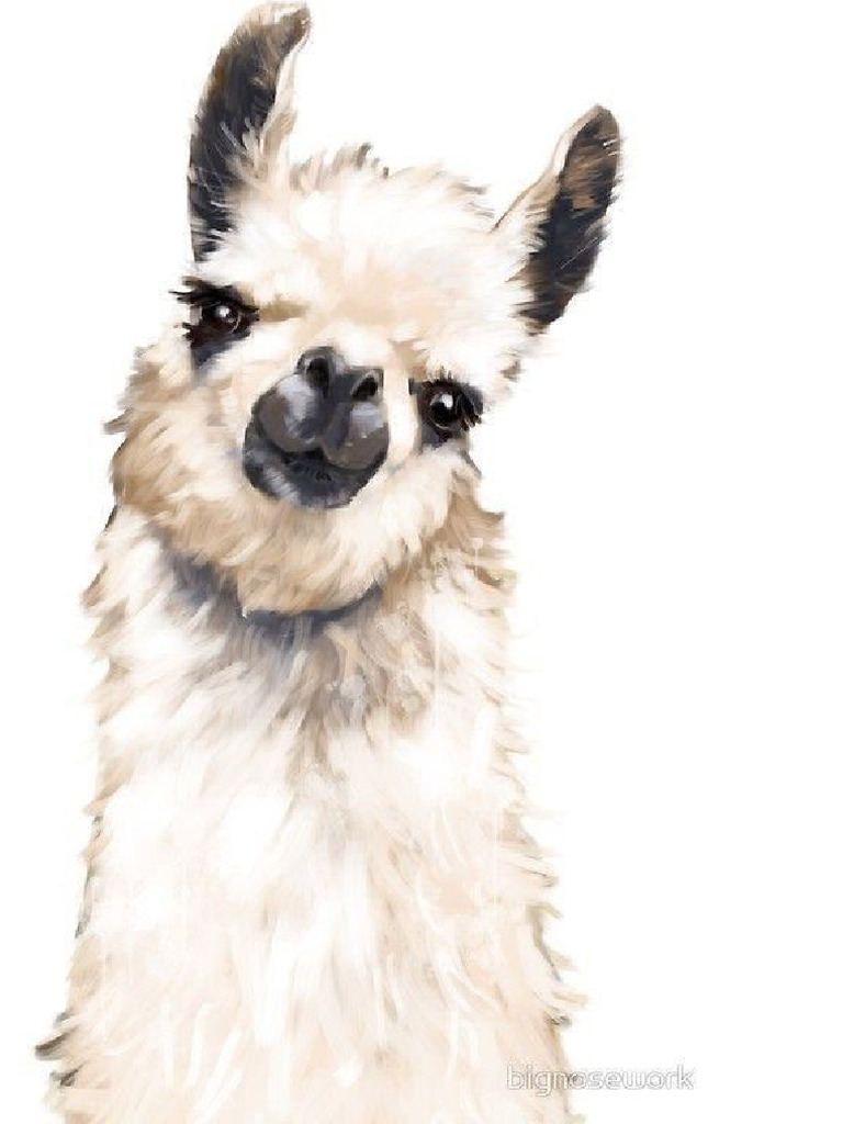 1 Llama | PDF
