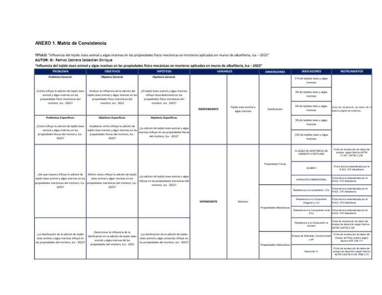 Matriz de Consistencia | PDF