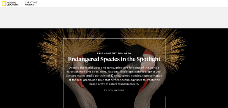 FireShot Capture 265 - Endangered Species in The Spotlight | PDF