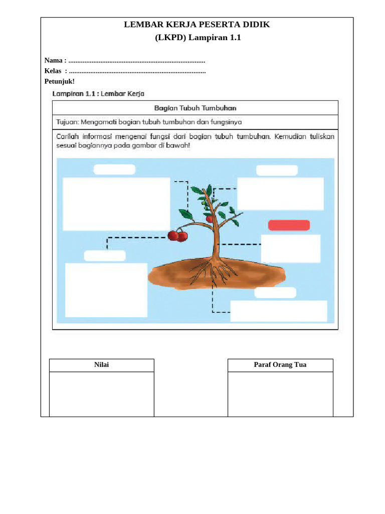 CONTOH KKTP Mapel Ipas Mi | PDF