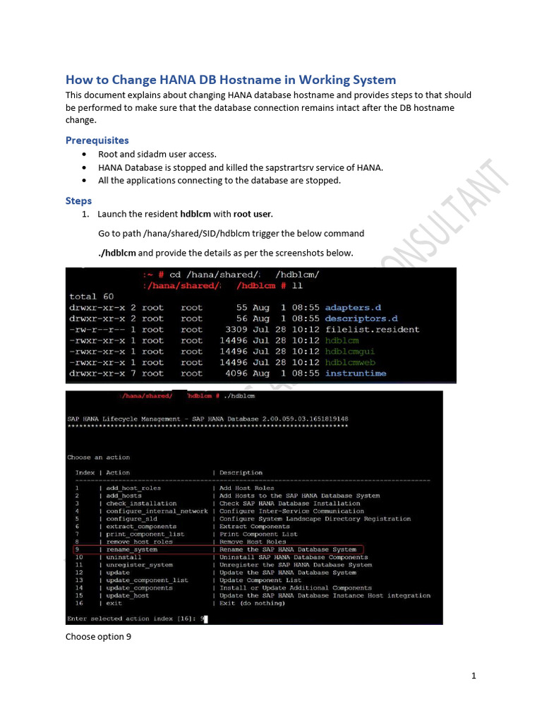 How To Change HANA DB Hostname in Working System 1723698223 | PDF