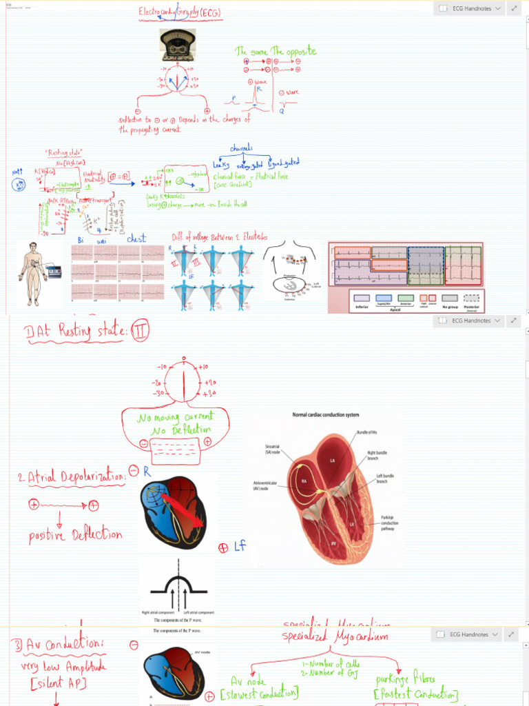 ECG | PDF