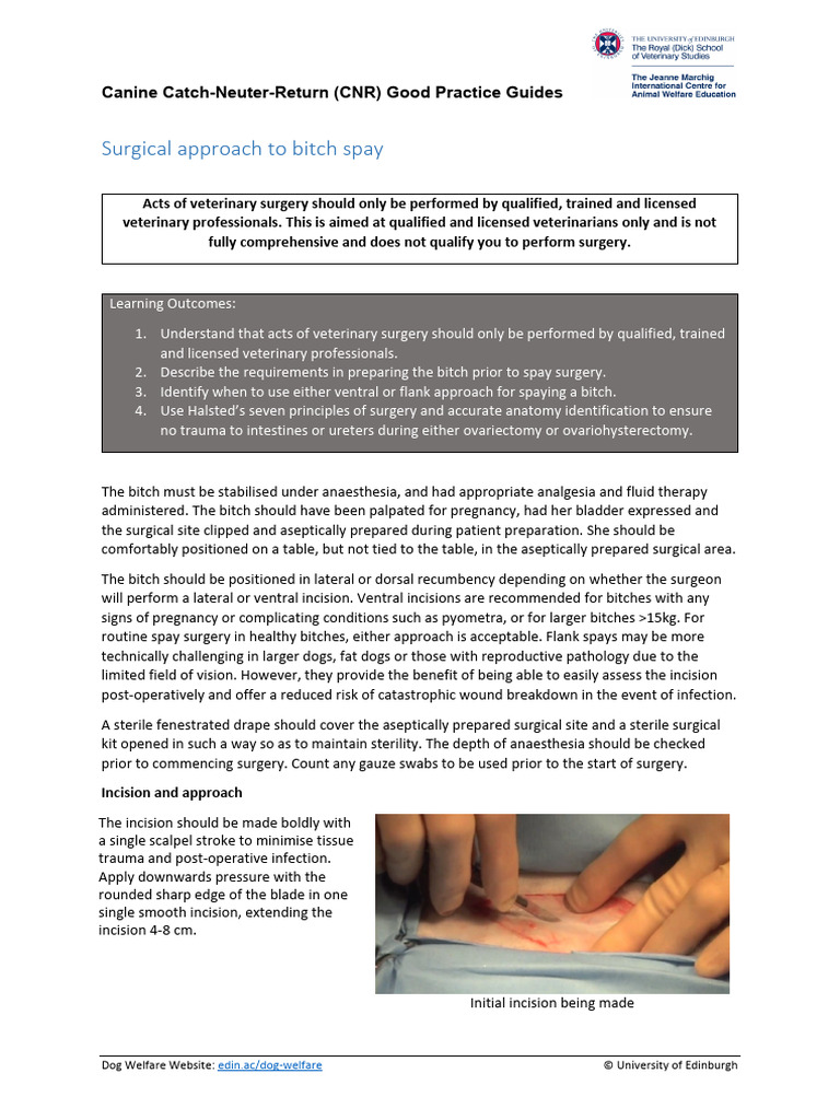 Bitch Spay Surgical Techniques Guide | PDF | Neutering | Home & Garden