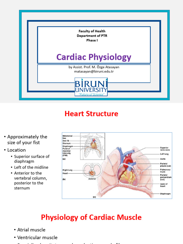 Cardiac PDF | PDF