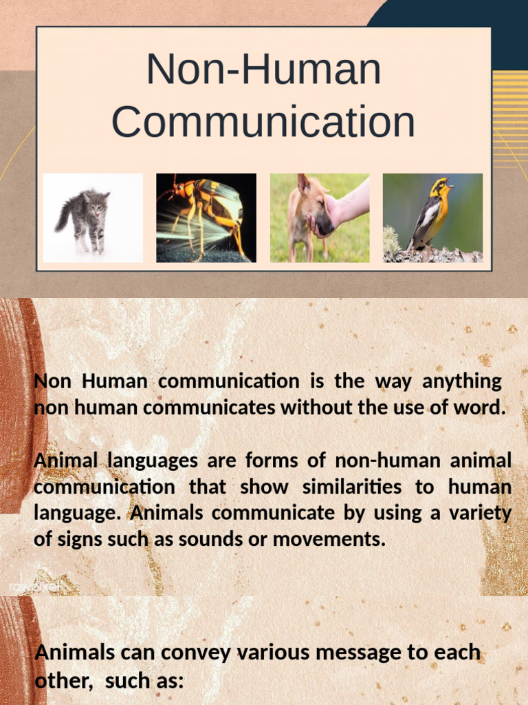 ELEC 101 Features of Human Language | PDF