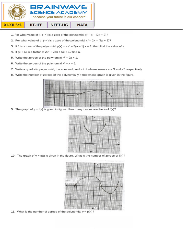 CT X Assign Maths Polynomials | PDF