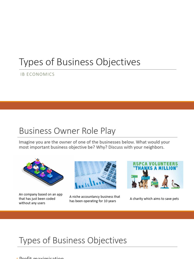 Business Objectives Notes A Level IB | PDF