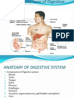 Gastrointestinal System Ppt.-New