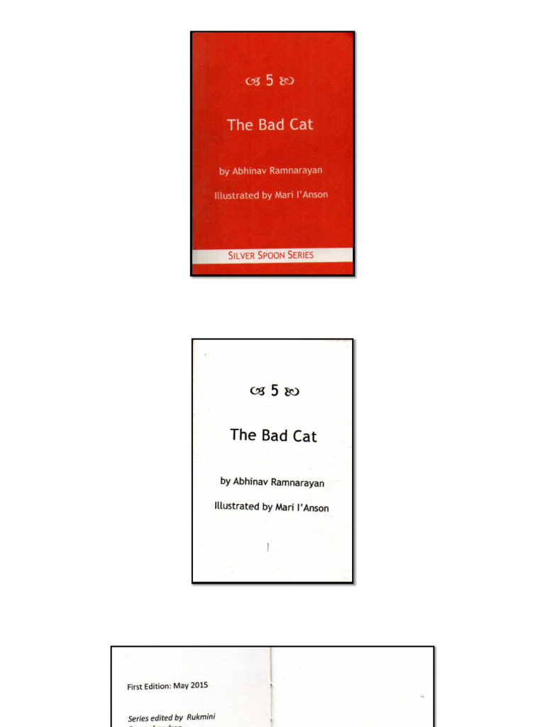 The Bad Cat | PDF