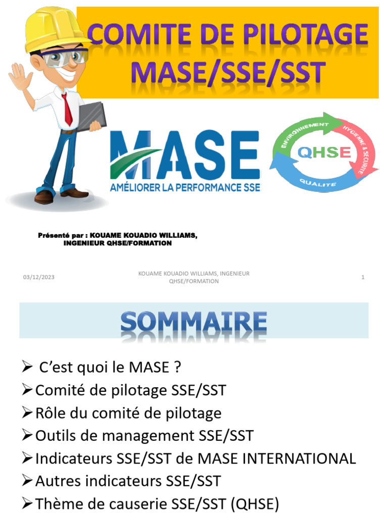 Formation Des Membres Du Comite de Pilotage Mase | PDF