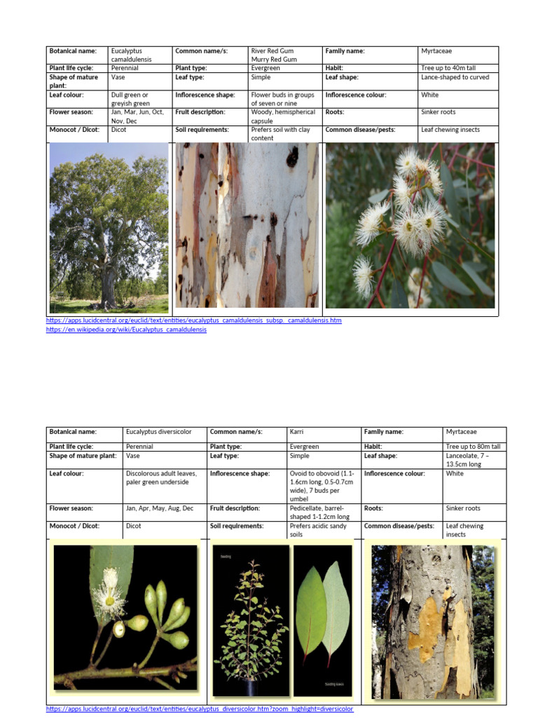 Tree ID | PDF