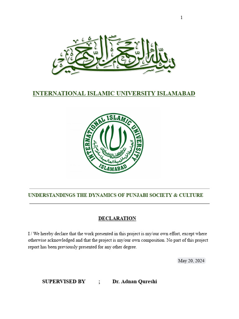 Punjab Society & Culture-2 | PDF | Pakistan | Social Science