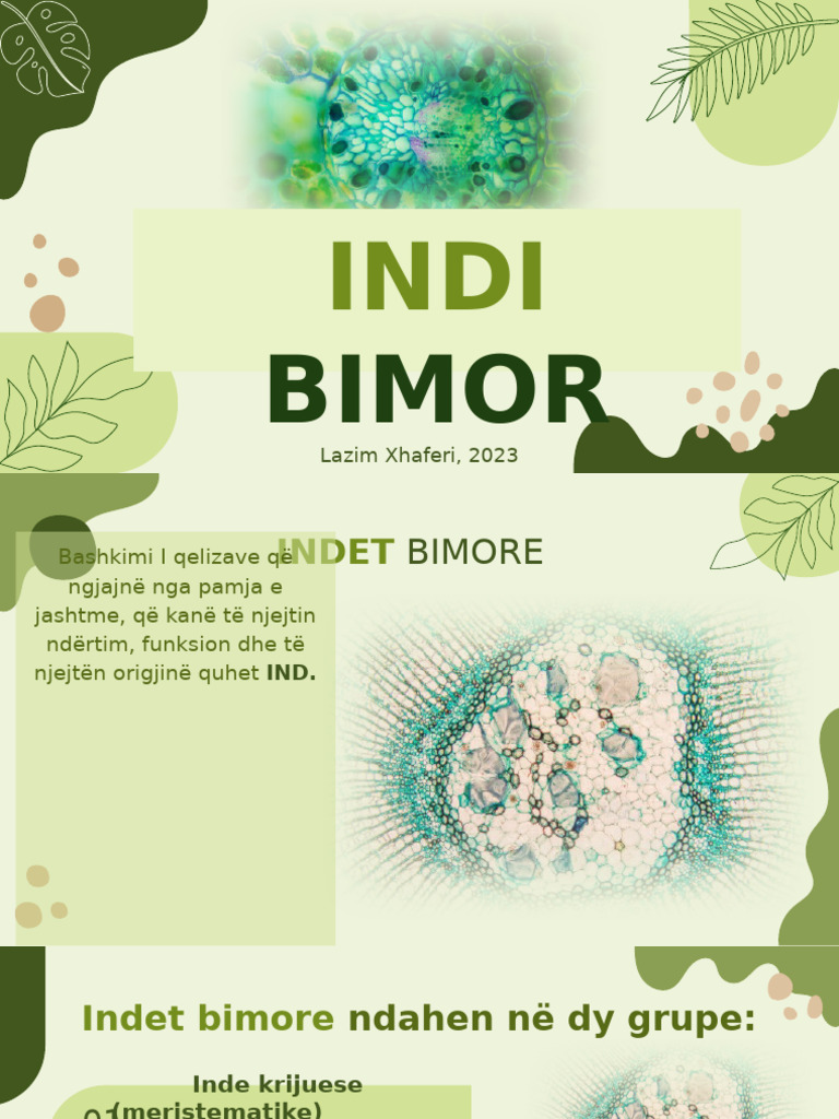 Indi Bimor | PDF