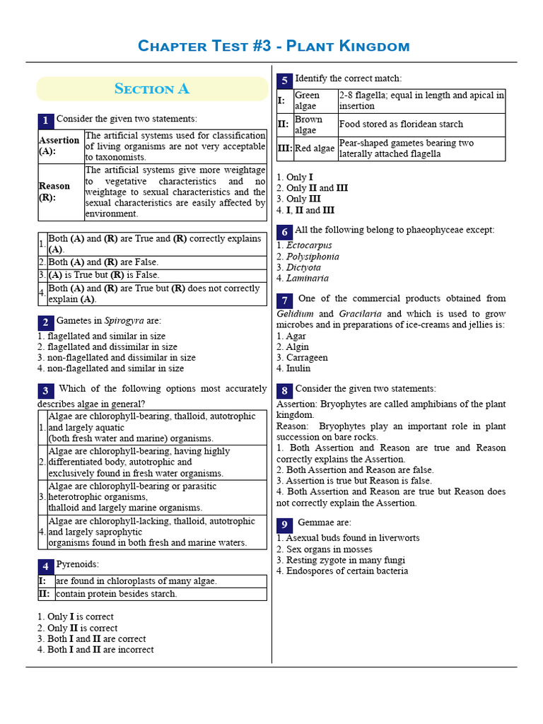 Plant Kingdom Chapter Test Questions | PDF | Fern | Home & Garden