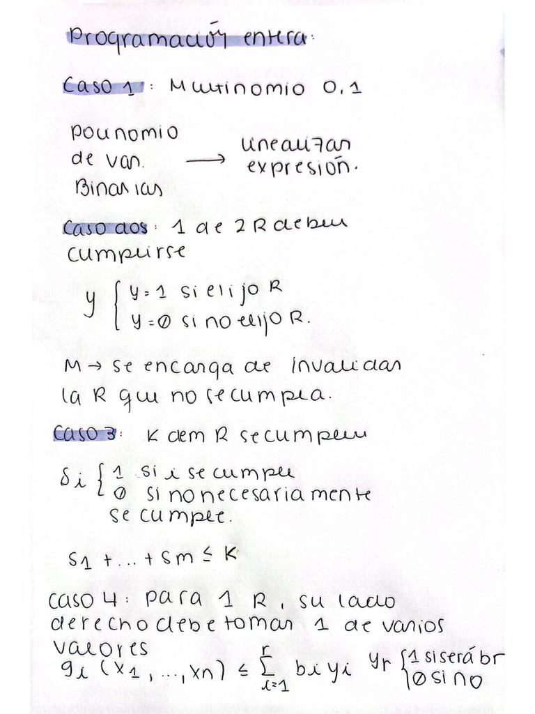 Programación Entera Pdf