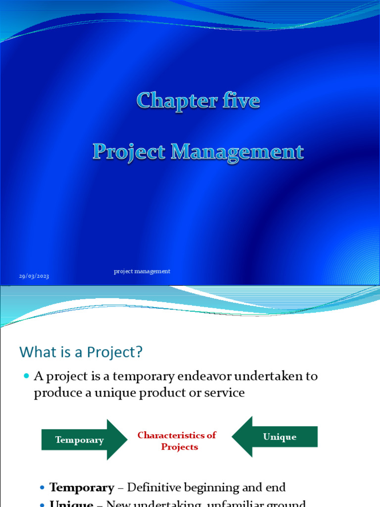 5 Project Management | PDF