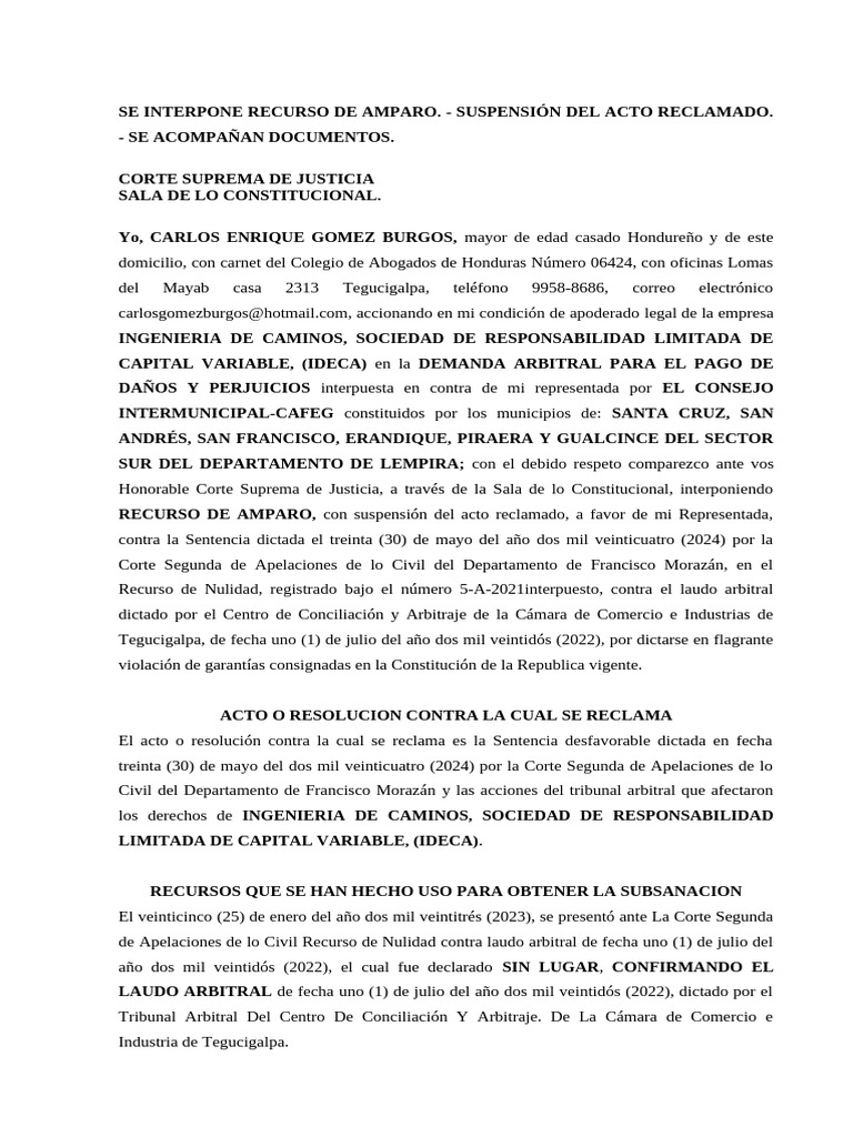 Se Interpone Recurso de Amparo Ideca - Cafeg 2024 | PDF