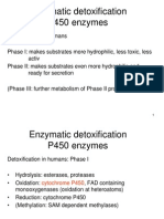 Enzymatic Detoxification P450 Enzymes