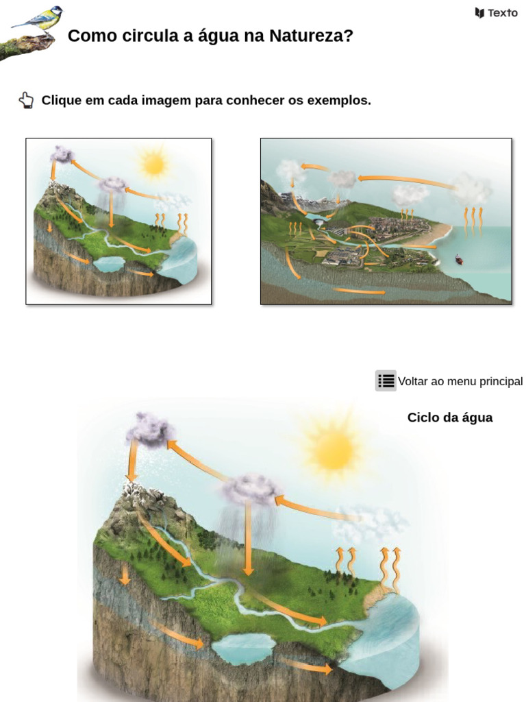 Banco De Imagens Importância Da água Para Os Seres Vivos Pdf