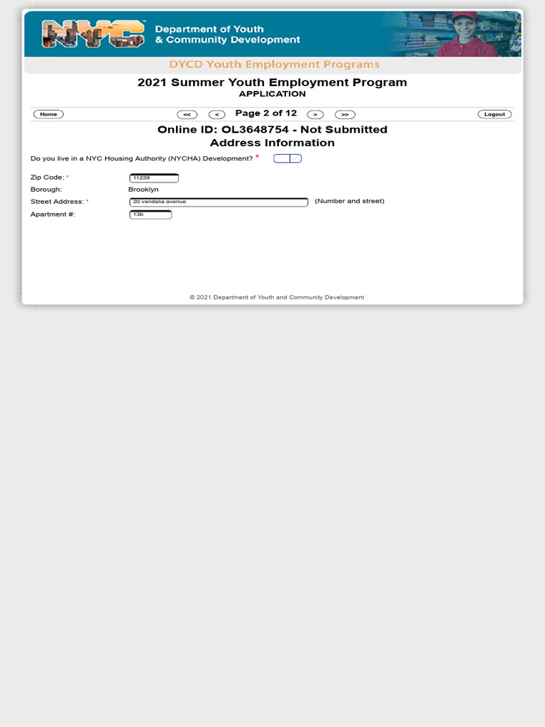Http Https Application Nyc Syep Application 2022