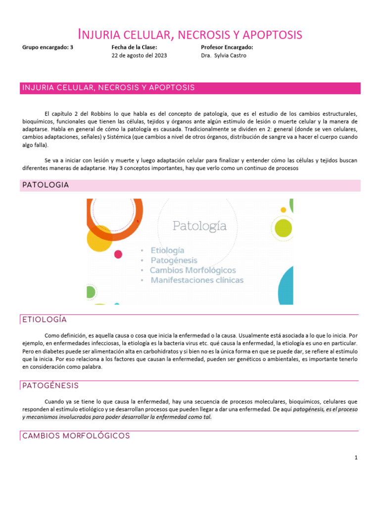 Patología Celular: Injuria y Muerte | PDF | Receptor (Bioquímica ...
