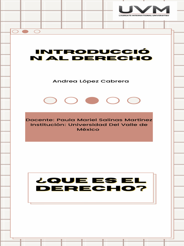 Infografía de Derecho | PDF