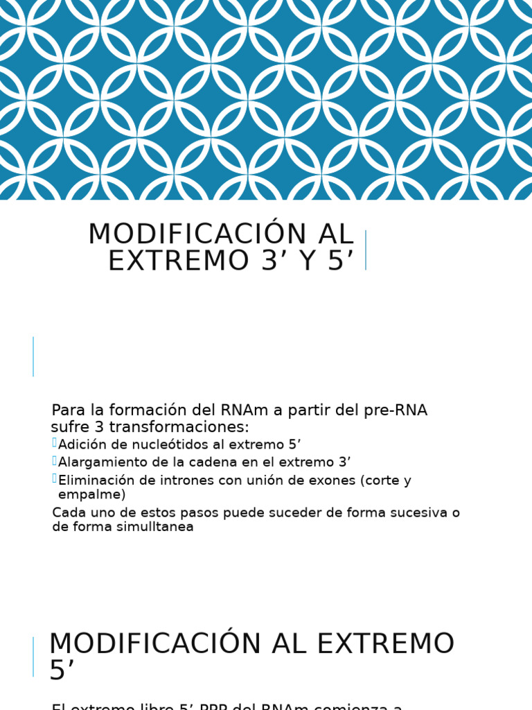 Modificación Al Extremo 3' y 5' | PDF