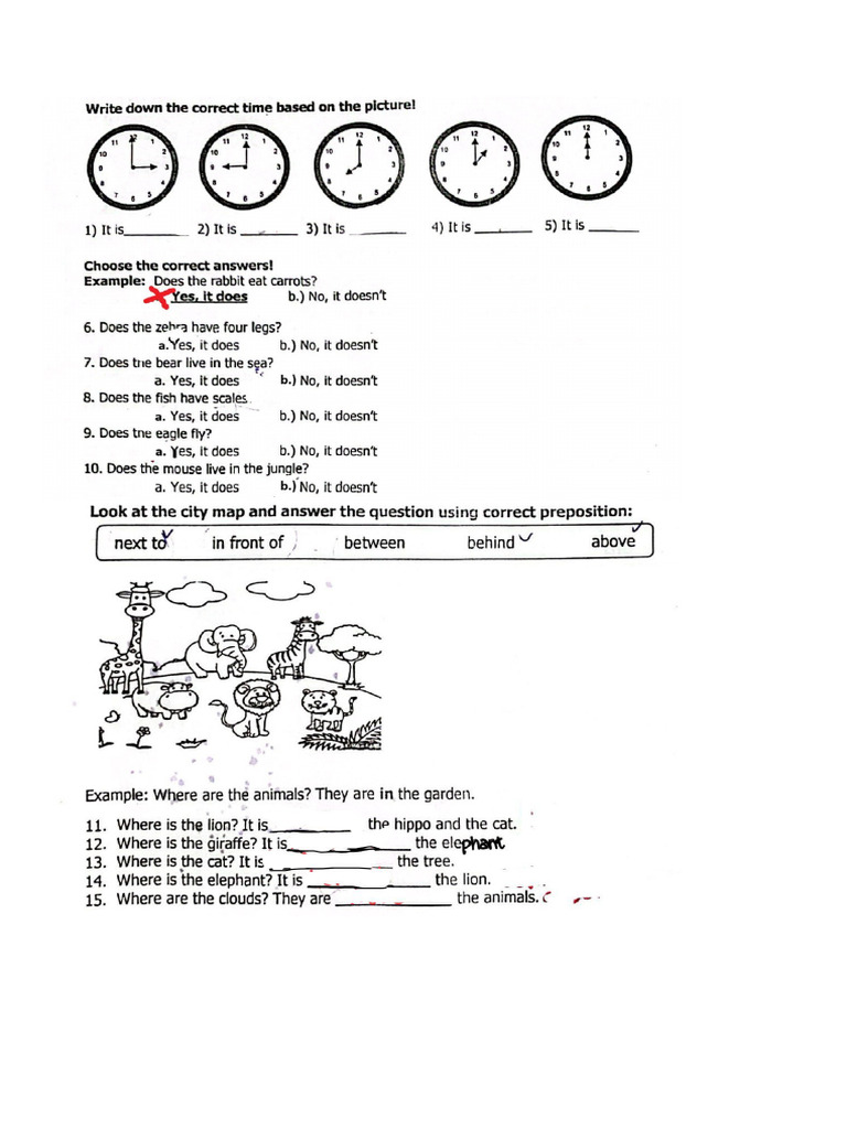 Soal Junior Level 2 Pdf