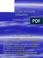 FISIOLOGIA SISTEMA URINARIO