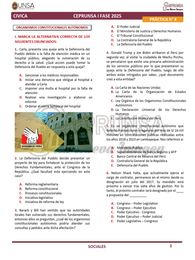 P8 - Civica | PDF