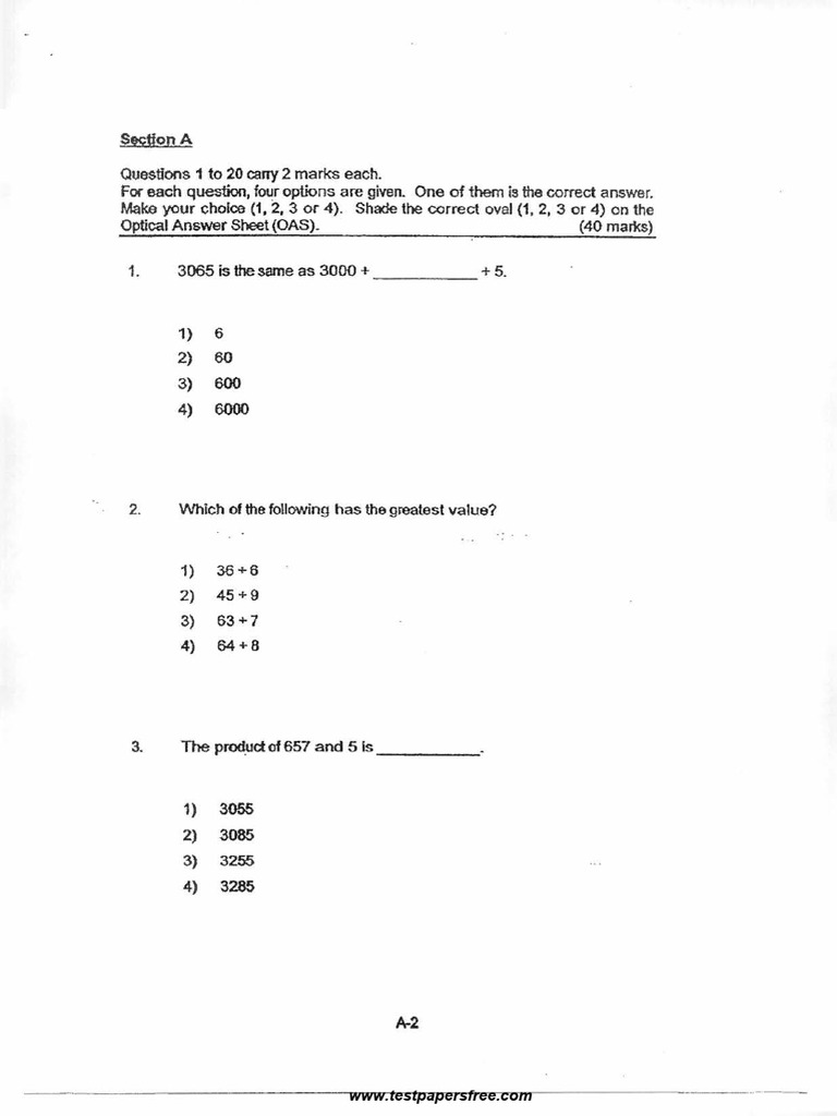 P3 math aeis 5 pdf
