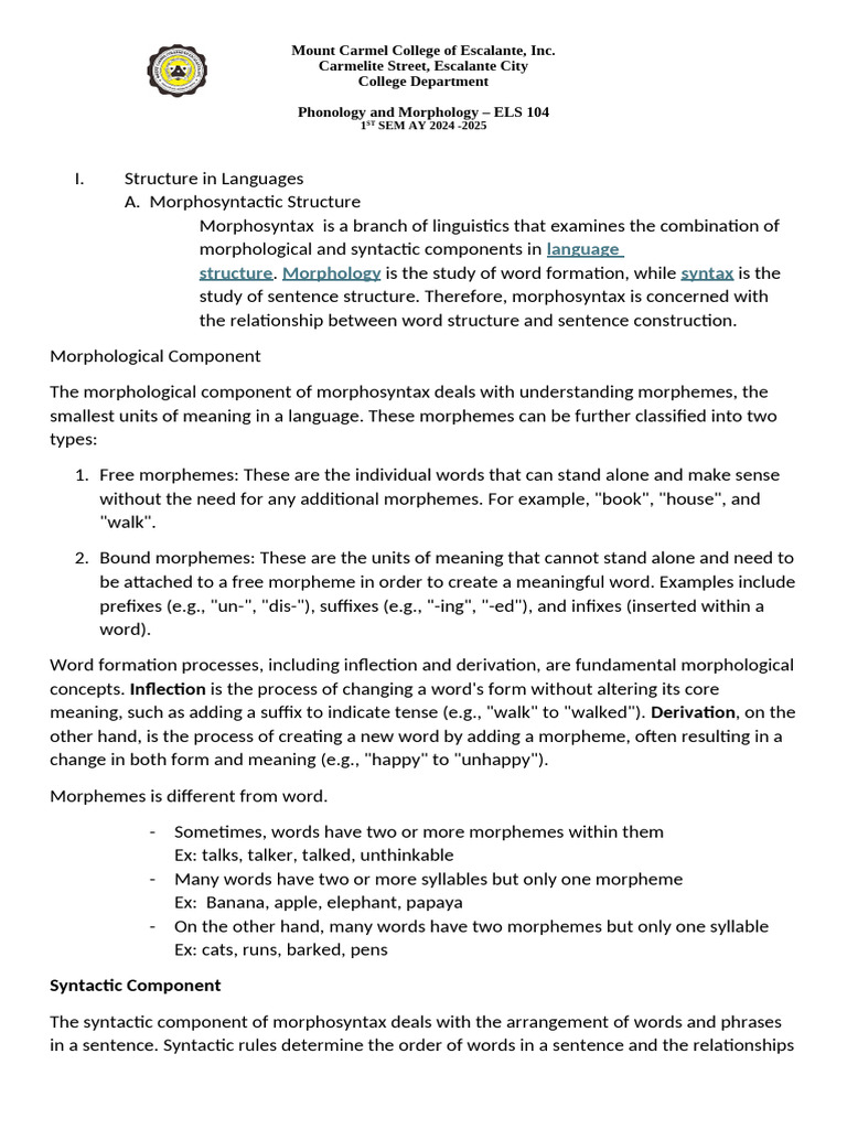 Lesson 1 - Morphosyntax | PDF