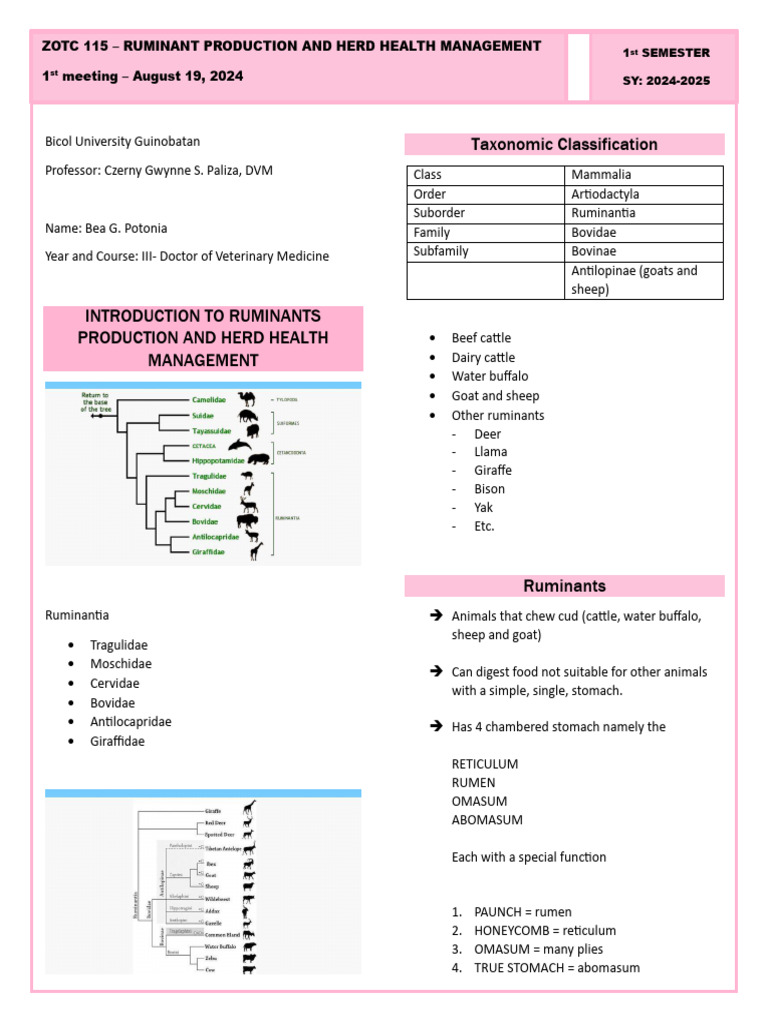 TRANSES - 1 (Unfin) | PDF
