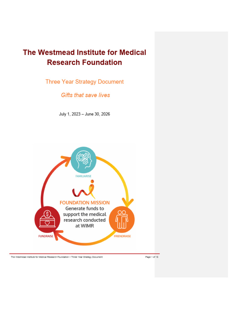The WIMR Foundation Strategy | PDF