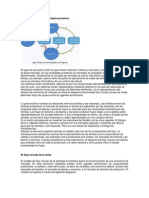 El Flujo Circular de La Actividad Económica