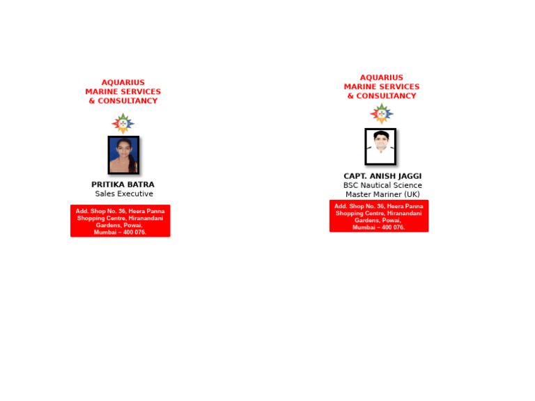 Id Card Formats | PDF
